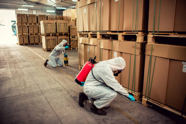 Best Local Pest Control Services  in Mccleary, WA