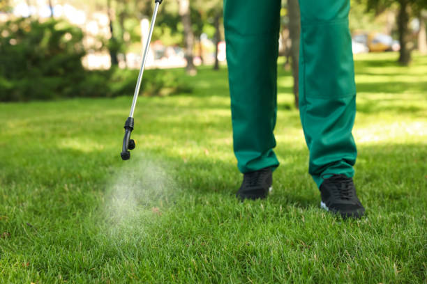 Best Emergency Pest Control  in Mccleary, WA