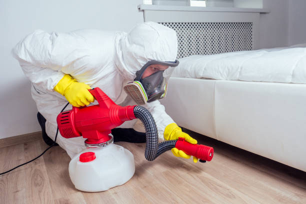 Best Best Pest Control Companies  in Mccleary, WA