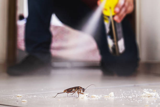 Best Exterminator Services  in Mccleary, WA