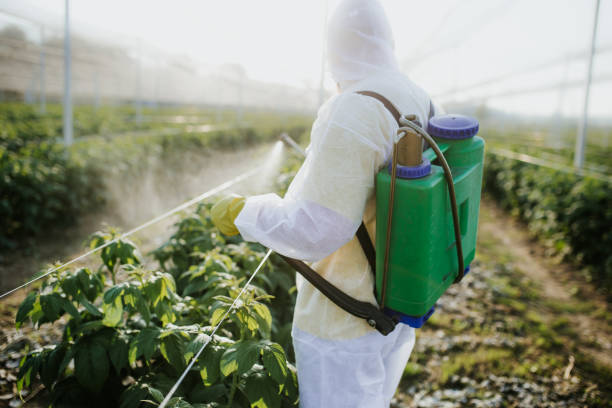 Best Emergency Pest Control  in Mccleary, WA